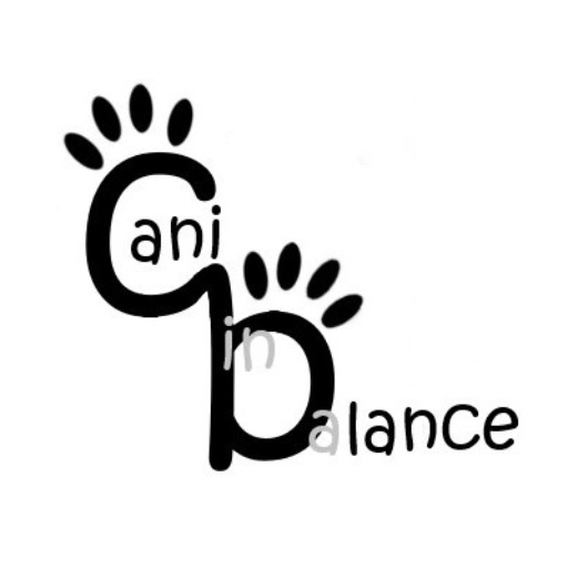 Hundeschule cani in balance Logo